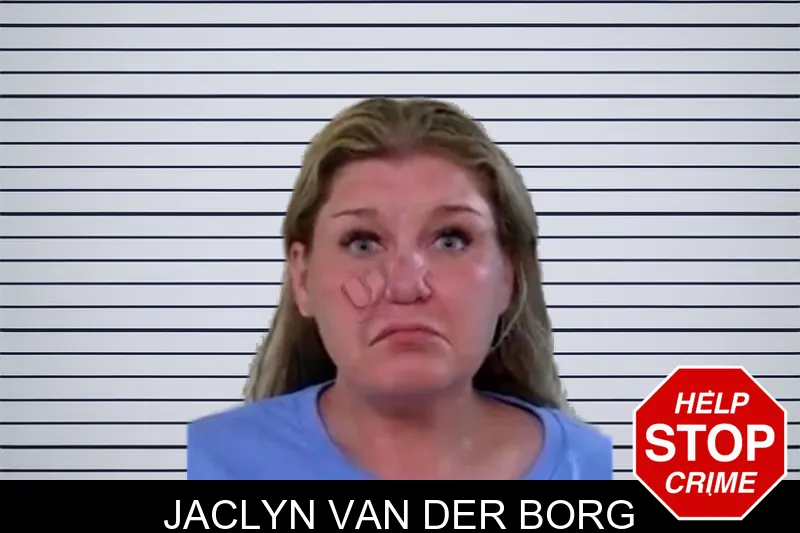 Jaclyn Van Der Borg mugshot – Liberty County , Georgia Jaclyn Van Der Borg mugshot