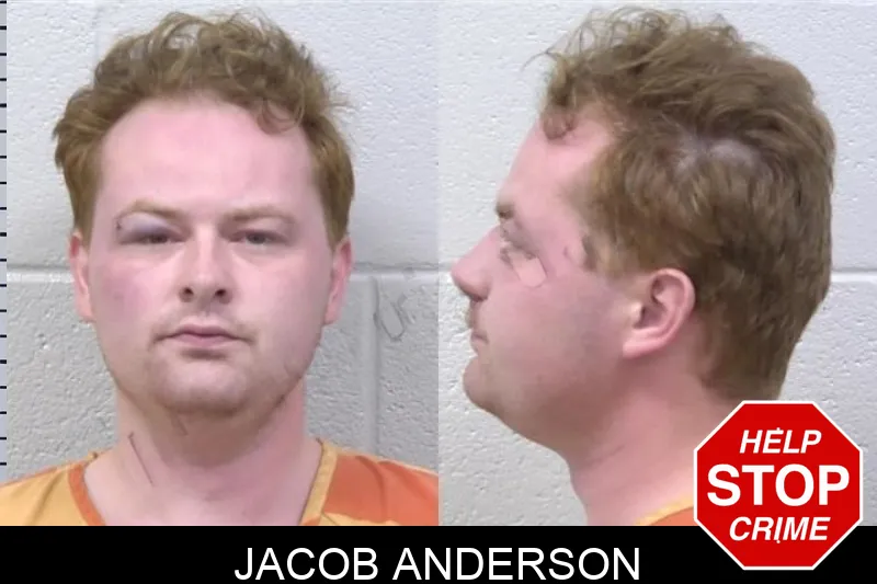 Jacob Anderson mugshot – Paulding County , Georgia Jacob Anderson mugshot