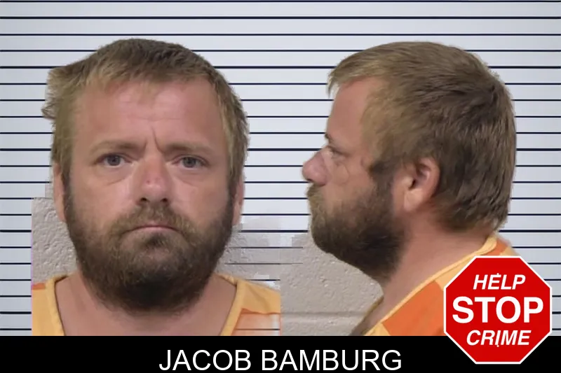 Jacob Bamburg mugshot – Paulding County , Georgia Jacob Bamburg mugshot