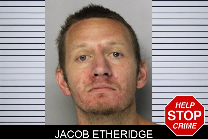 Jacob Etheridge mugshot – Hall County , Georgia Jacob Etheridge mugshot