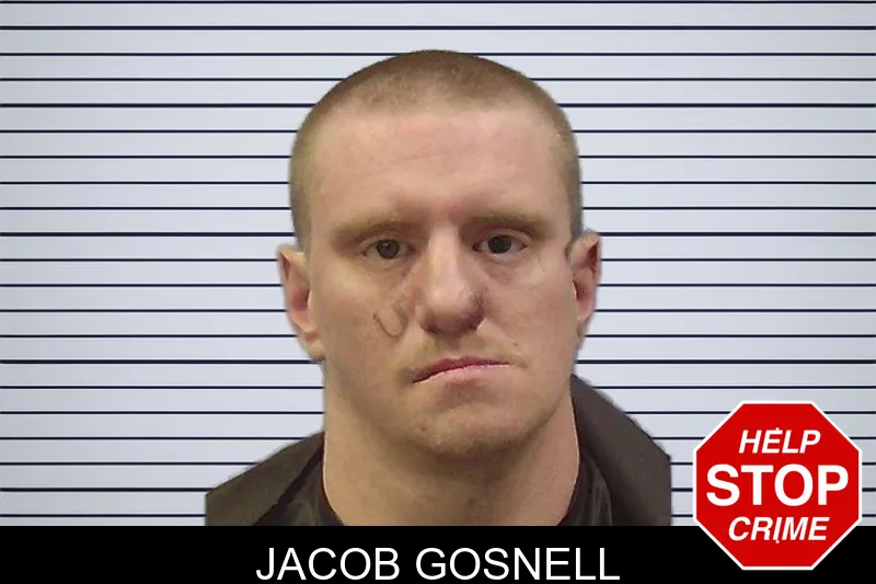 Jacob Gosnell mugshot – Chattooga County , Georgia Jacob Gosnell mugshot