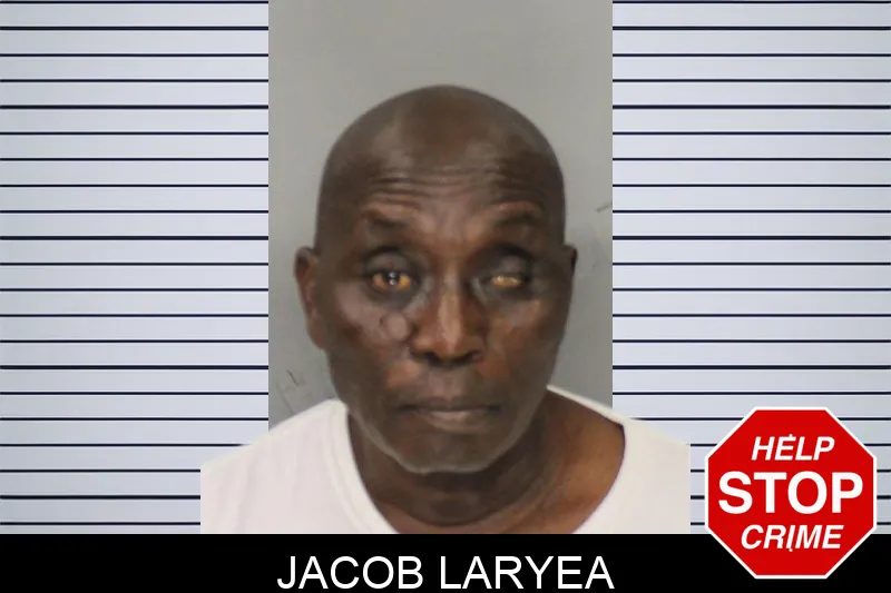 Jacob Laryea mugshot – Cobb County , Georgia Jacob Laryea mugshot