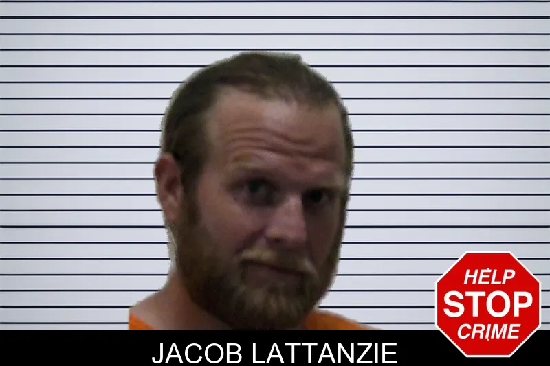 Jacob Lattanzie mugshot – Pierce County , Georgia Jacob Lattanzie mugshot
