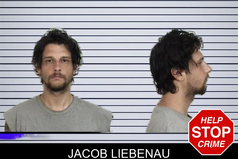 Jacob Liebenau mugshot – Camden County , Georgia Jacob Liebenau mugshot