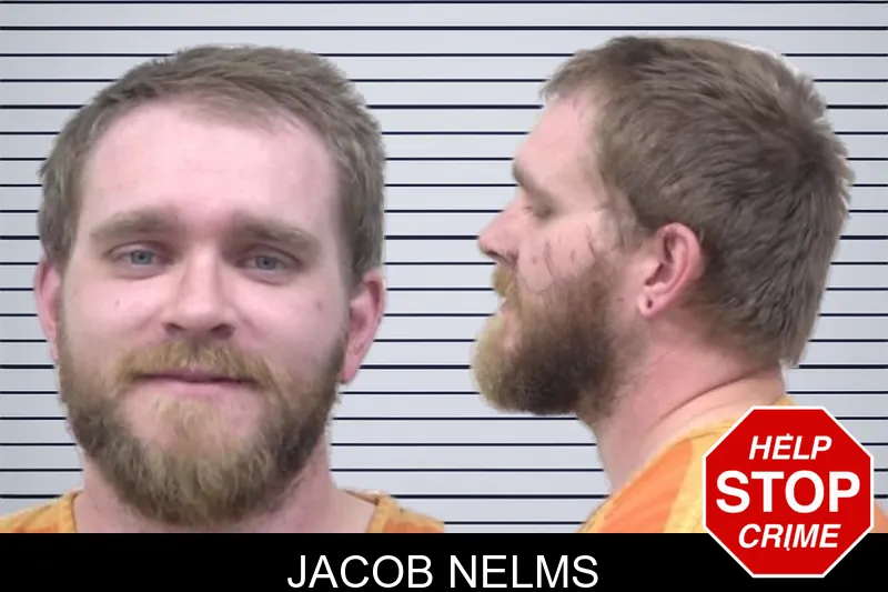 Jacob Nelms mugshot