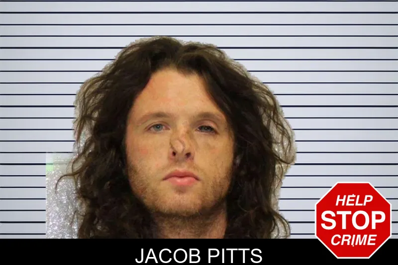 Jacob Pitts mugshot