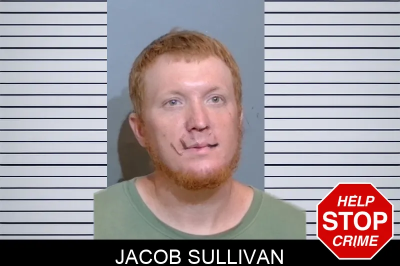 Jacob Sullivan mugshot – Glynn County , Georgia Jacob Sullivan mugshot