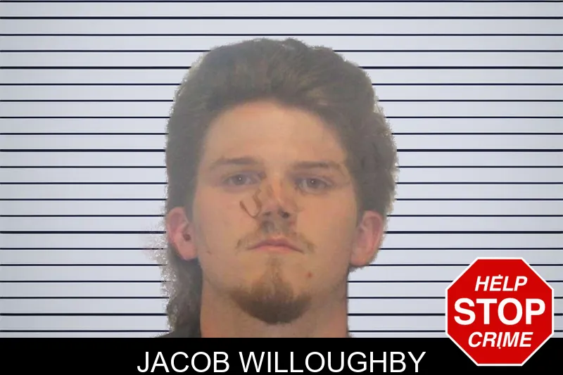 Jacob Willoughby mugshot – Carroll County , Georgia Jacob Willoughby mugshot