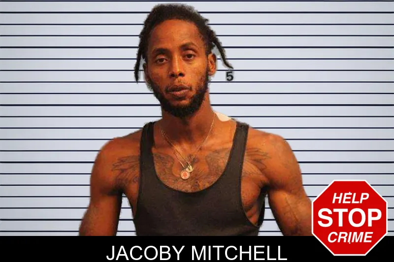 Jacoby Mitchell mugshot – Monroe County , Georgia Jacoby Mitchell mugshot