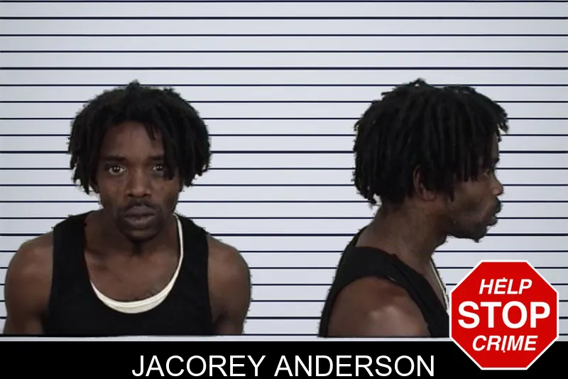 Jacorey Anderson mugshot