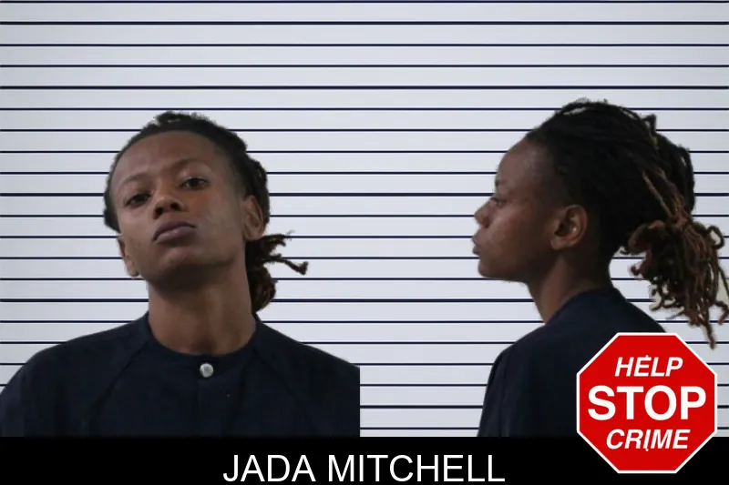 Jada Mitchell mugshot – Houston County , Georgia Jada Mitchell mugshot