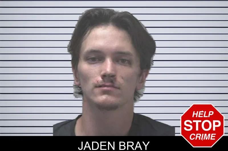 Jaden Bray mugshot – Coweta County , Georgia Jaden Bray mugshot