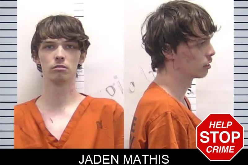 Jaden Mathis mugshot – Clarke County , Georgia Jaden Mathis mugshot