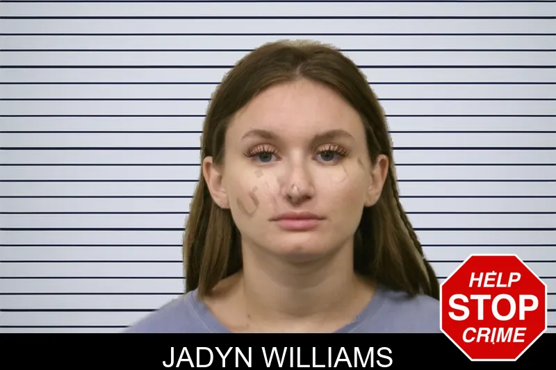 Jadyn Williams mugshot – Bulloch County , Georgia Jadyn Williams mugshot