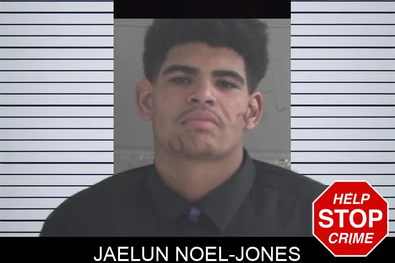 Jaelun Noel-Jones mugshot – Brantley County , Georgia Jaelun Noel-Jones mugshot