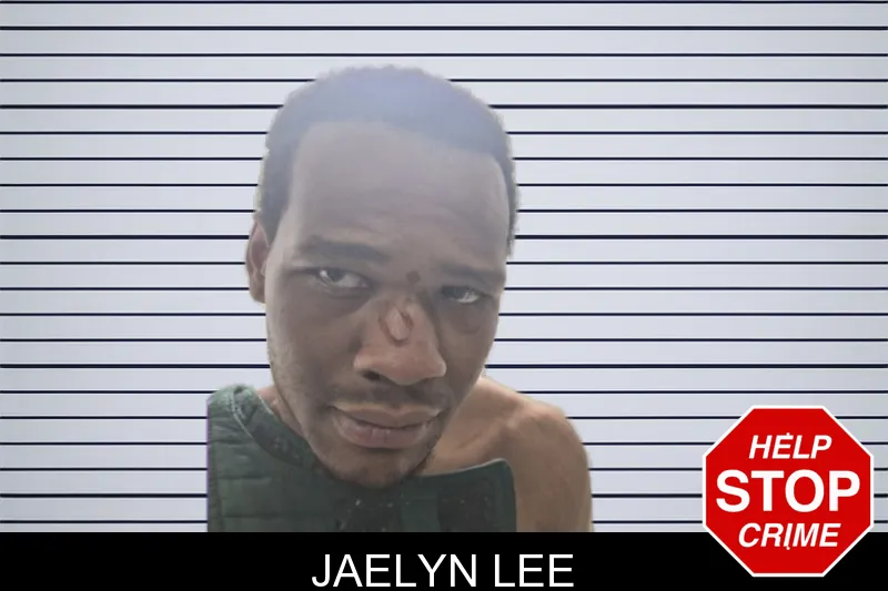 Jaelyn Lee mugshot – Gwinnett County , Georgia Jaelyn Lee mugshot