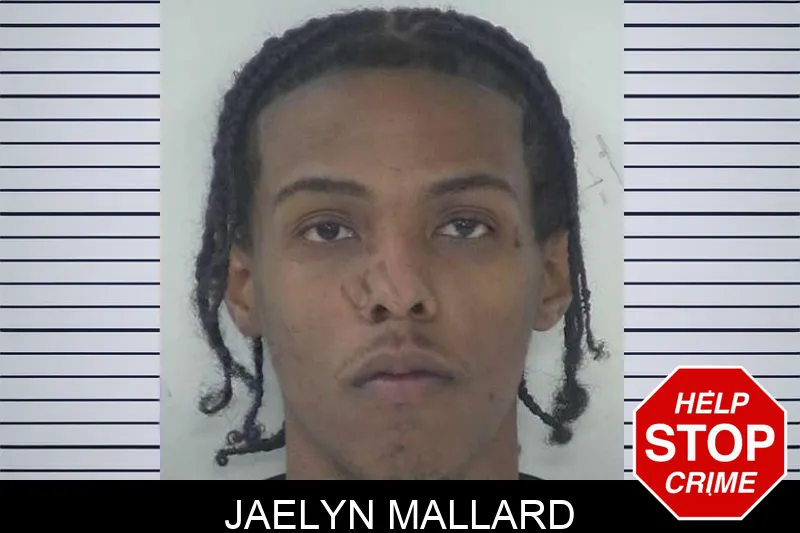 Jaelyn Mallard mugshot – Fayette County , Georgia Jaelyn Mallard mugshot