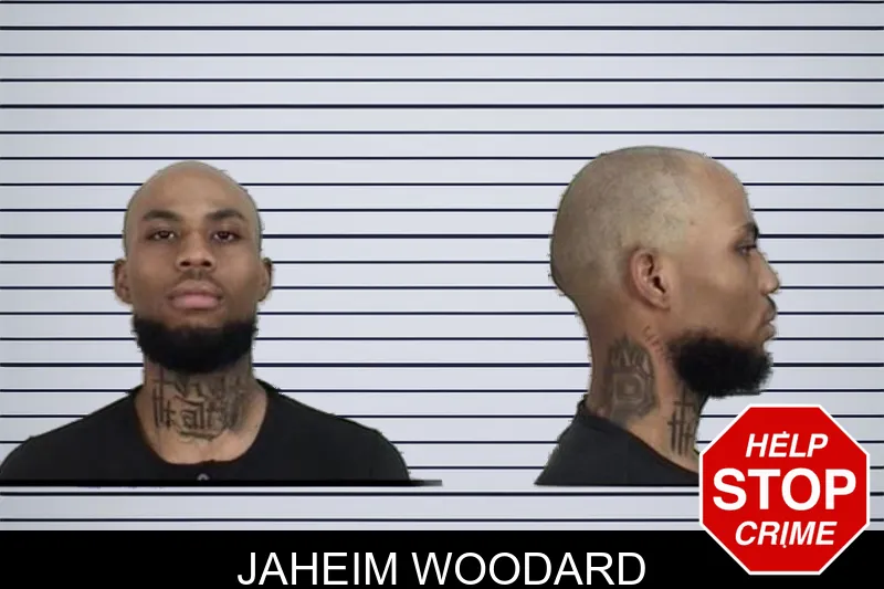 Jaheim Woodard mugshot – Camden County , Georgia Jaheim Woodard mugshot