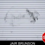 Jair Brunson mugshot – Lanier County , Georgia Jair Brunson mugshot