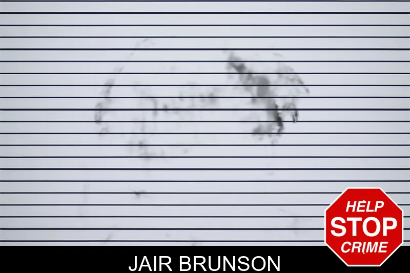 Jair Brunson mugshot – Lanier County , Georgia Jair Brunson mugshot