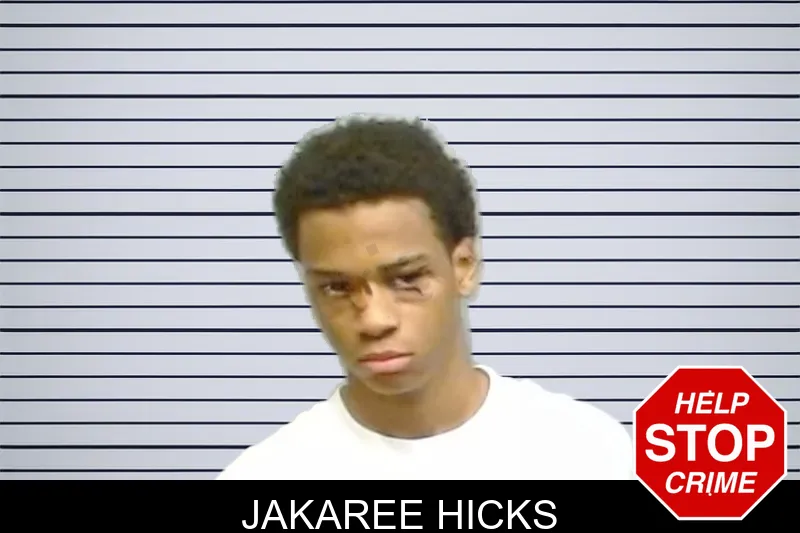 Jakaree Hicks mugshot – Fulton County , Georgia Jakaree Hicks mugshot
