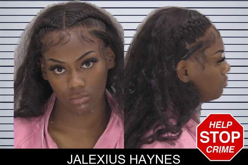 Jalexius Haynes mugshot