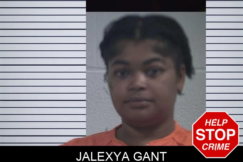 Jalexya Gant mugshot – McDuffie County , Georgia Jalexya Gant mugshot