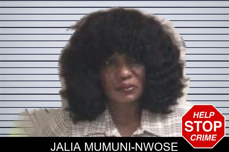 Jalia Mumuni-Nwose mugshot – Henry County , Georgia Jalia Mumuni-Nwose mugshot