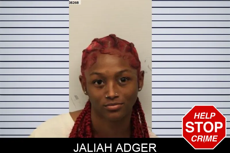 Jaliah Adger mugshot – Chatham County , Georgia Jaliah Adger mugshot