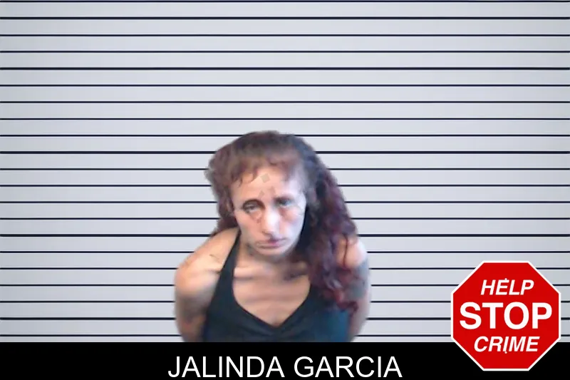 Jalinda Garcia mugshot – DeKalb County , Georgia Jalinda Garcia mugshot