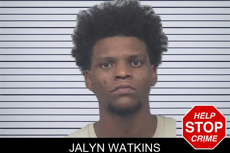 Jalyn Watkins mugshot – Gwinnett County , Georgia Jalyn Watkins mugshot