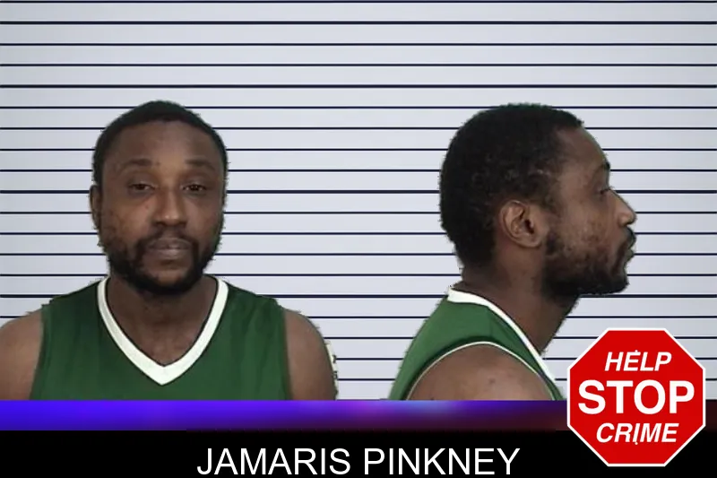 Jamaris Pinkney mugshot – Camden County , Georgia Jamaris Pinkney mugshot