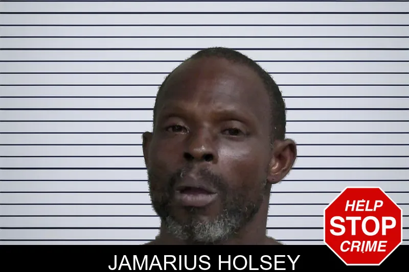 Jamarius Holsey mugshot – Wayne County , Georgia Jamarius Holsey mugshot