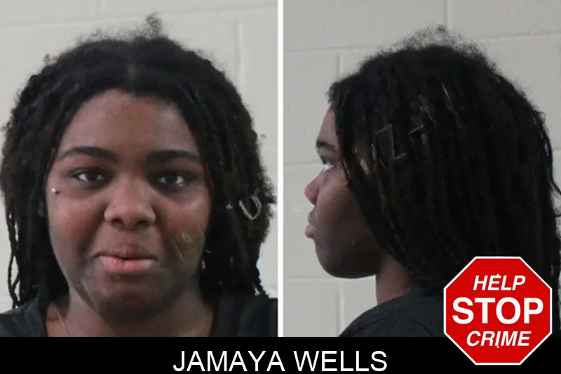 Jamaya Wells mugshot – Houston County , Georgia Jamaya Wells mugshot
