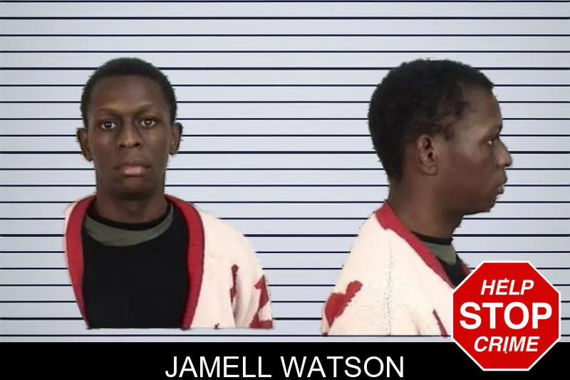 Jamell Watson mugshot – Camden County , Georgia Jamell Watson mugshot