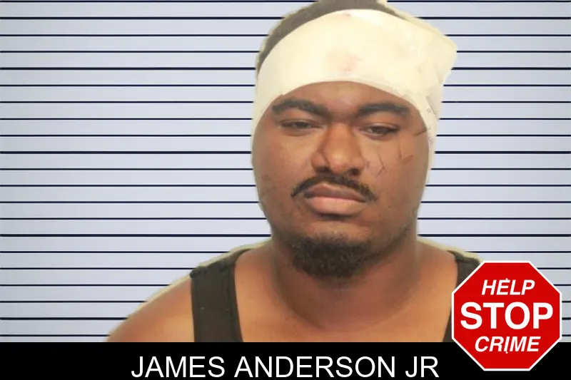 James Anderson Jr mugshot – Chatham County , Georgia James Anderson Jr mugshot