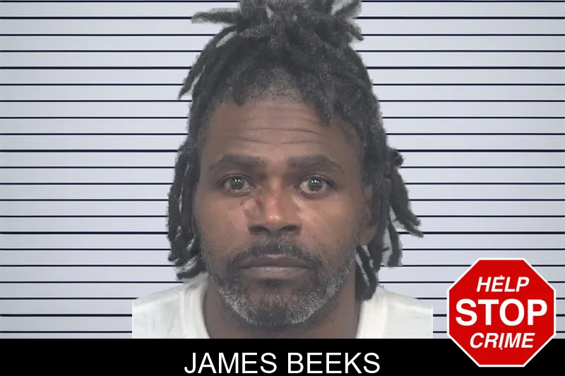 James Beeks mugshot – Gwinnett County , Georgia James Beeks mugshot