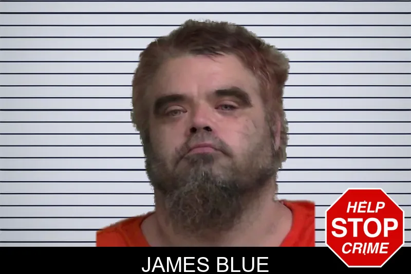 James Blue mugshot – Wayne County , Georgia James Blue mugshot