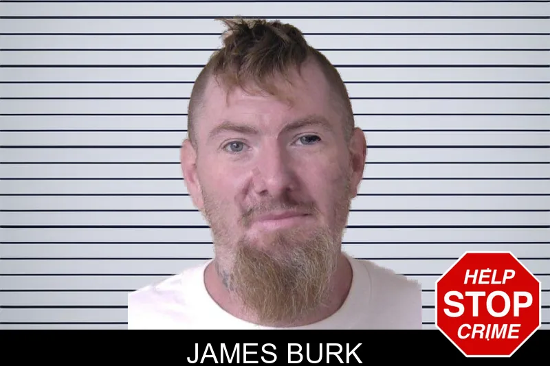 James Burk mugshot – Walker County , Georgia James Burk mugshot