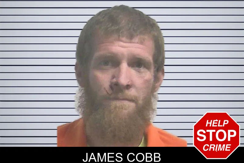 James Cobb mugshot – Colquitt County , Georgia James Cobb mugshot