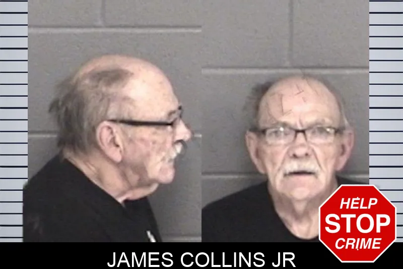 James Collins Jr mugshot – Barrow County , Georgia James Collins Jr mugshot