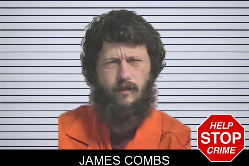 James Combs mugshot
