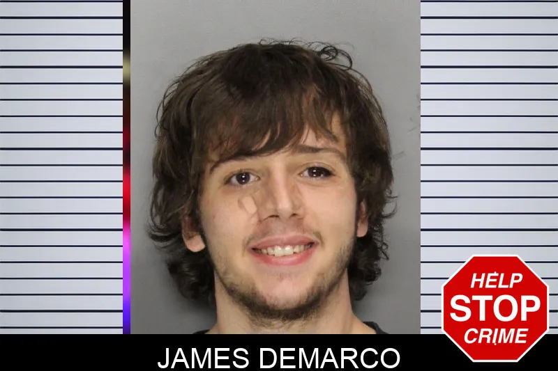 James Demarco mugshot – Cobb County , Georgia James Demarco mugshot