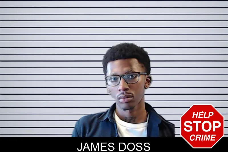 James Doss mugshot – DeKalb County , Georgia James Doss mugshot