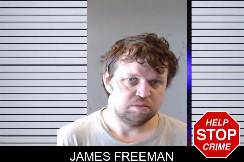 James Freeman mugshot – DeKalb County , Georgia James Freeman mugshot