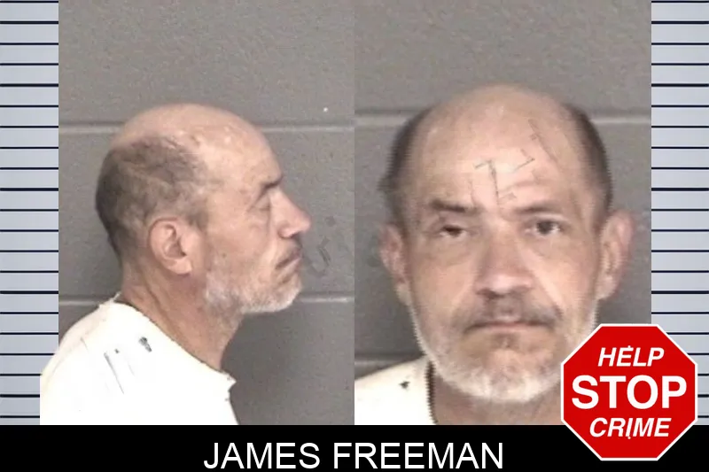 James Freeman mugshot – Barrow County , Georgia James Freeman mugshot