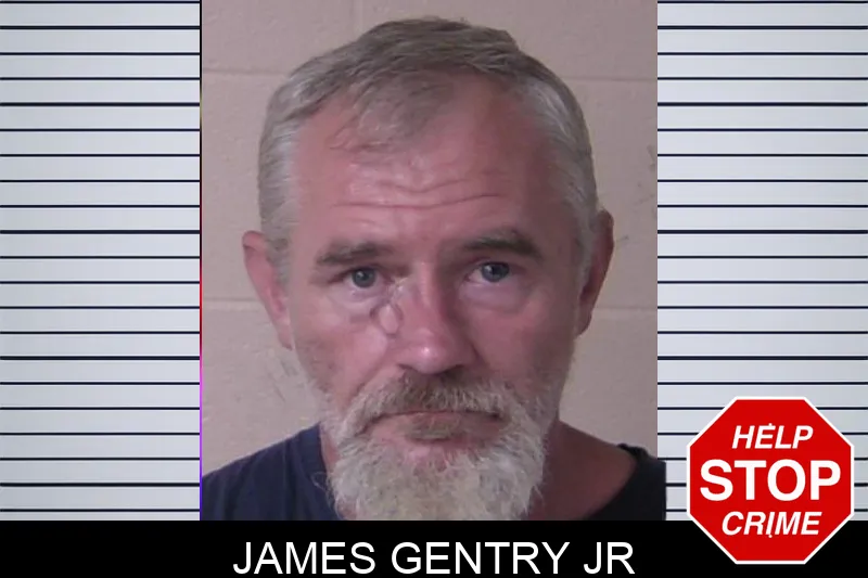 James Gentry Jr mugshot