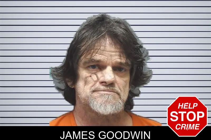 James Goodwin mugshot – Cherokee County , Georgia James Goodwin mugshot