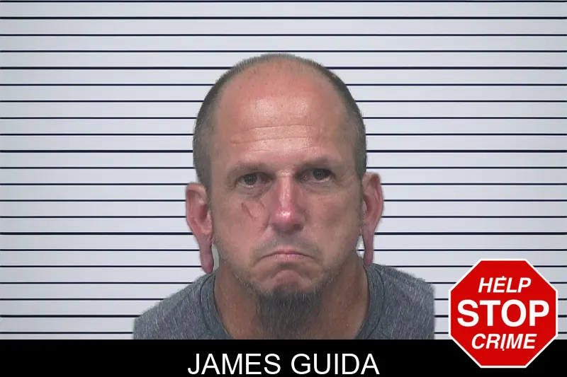 James Guida mugshot – Gwinnett County , Georgia James Guida mugshot