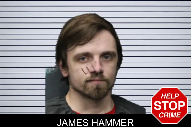 James Hammer mugshot – Forsyth County , Georgia James Hammer mugshot